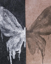Butterfly Oversized T Shirt